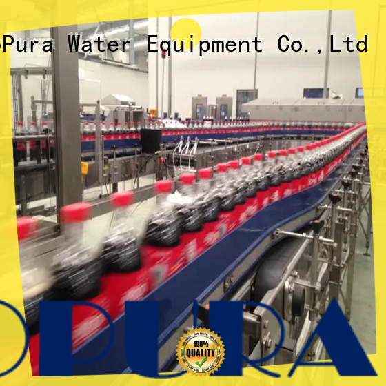 EcoPura standard conveyor equipment trade partner for importer