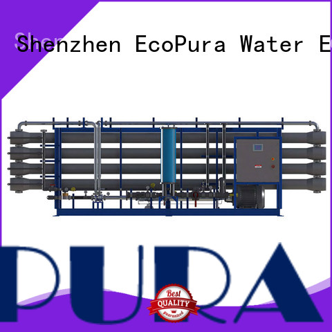 EcoPura 10m3h water treatment exporter for the global market