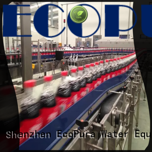EcoPura machine conveyor from China for trader