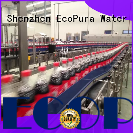 EcoPura low cost conveyor equipment from China for importer