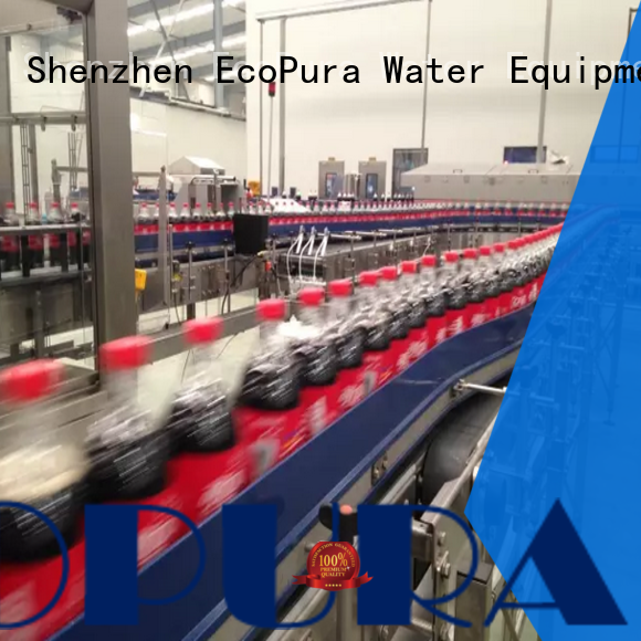 EcoPura machine conveyor machine overseas market for importer