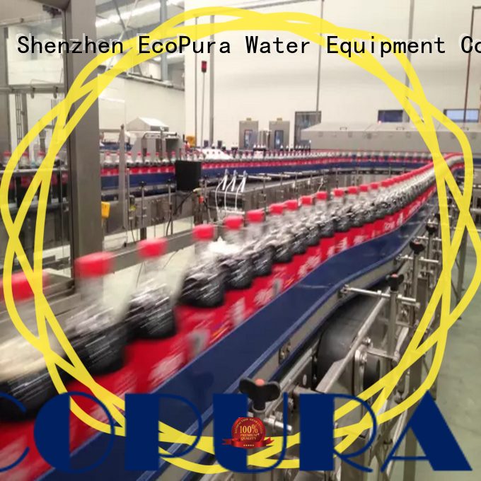 EcoPura conveyor conveyor equipment trade partner for upgrade industries